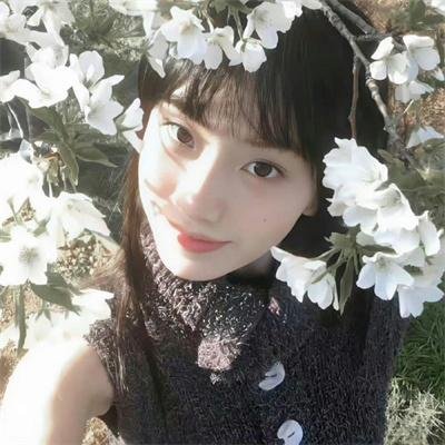 特工 海报